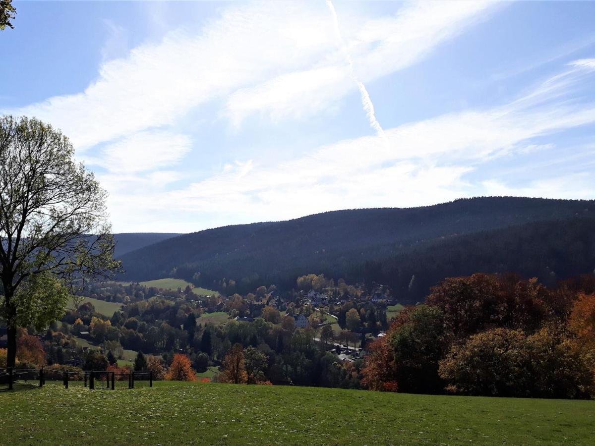 Cozy Apartment In Ore Mountains With Balcony Breitenbrunn  Eksteriør bilde