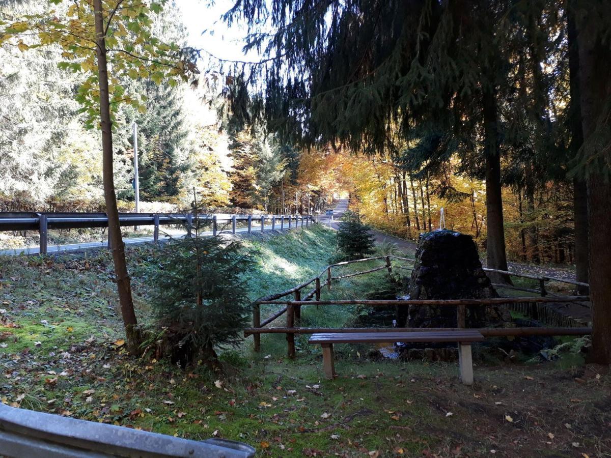 Cozy Apartment In Ore Mountains With Balcony Breitenbrunn  Eksteriør bilde